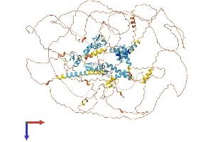 AlphaFold protein structure predicition of Human Recombinant ZEB2 Protein, UniprotID O60315