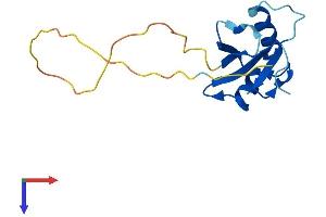 AlphaFold protein structure predicition of Human Recombinant ATG12 Protein, UniprotID O94817