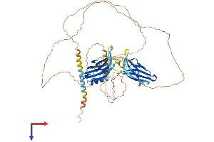 AlphaFold protein structure predicition of Mouse Recombinant Syt16 Protein, UniprotID Q7TN83