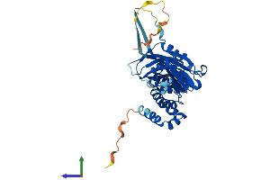 AlphaFold protein structure predicition of Mouse Recombinant Spop Protein, UniprotID Q6ZWS8