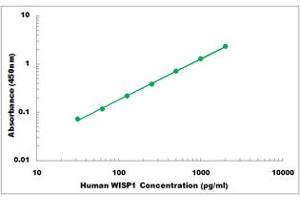 Representative Standard Curve (WISP1 Kit ELISA)