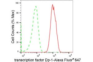 Flow cytometric analysis of transcription factor Dp-1 expression in C2C12 cells using transcription factor Dp-1 antibody (ABIN7800593), 1:2,000). (Recombinant DP1 anticorps)