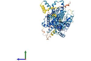 AlphaFold protein structure predicition of Human Recombinant SLC26A1 Protein, UniprotID Q9H2B4