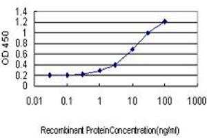 Detection limit for recombinant GST tagged RPL10 is approximately 0.