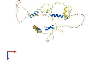 AlphaFold protein structure predicition of Mouse Recombinant Lsp1 Protein, UniprotID P19973