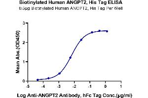 Immobilized Biotinylated Human ANGPT2, His Tag at 5 μg/mL (100 μL/Well) on the Streptavidin Procated plate.