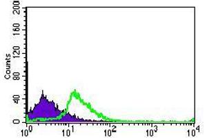 Flow cytometric analysis of MOLT4 cells using TGFBR3 mouse mAb (green) and negative control (purple).