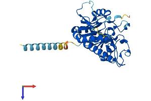 AlphaFold protein structure predicition of Mouse Recombinant Glt6d1 Protein, UniprotID Q2NKH9