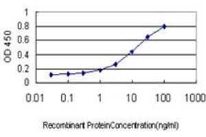 Detection limit for recombinant GST tagged TDP1 is approximately 0.