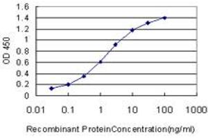 Detection limit for recombinant GST tagged HOXA11 is approximately 0.
