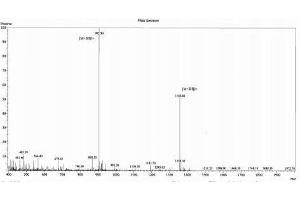 Image no. 1 for Growth Hormone 1 (GH1) peptide (Ovalbumin) (ABIN5666209) (Growth Hormone 1 (GH1) peptide (Ovalbumin))