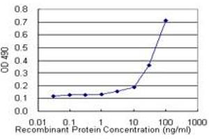 Sandwich ELISA detection sensitivity ranging from 3 ng/mL to 100 ng/mL. (IL13 (Humain) Matched Antibody Pair)