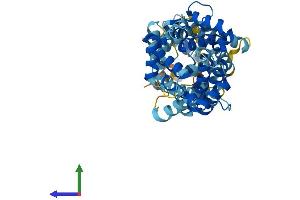 AlphaFold protein structure predicition of Mouse Recombinant Slc25a24 Protein, UniprotID Q8BMD8