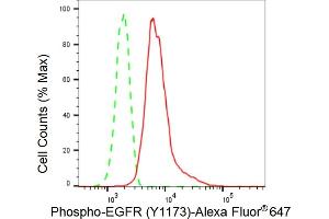 Flow cytometric analysis of Phospho-EGFR (Y) expression in HepG2 cells using Phospho-EGFR (Y) antibody (ABIN7798469), 1:2,000).