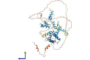 AlphaFold protein structure predicition of Human Recombinant ZNF18 Protein, UniprotID P17022