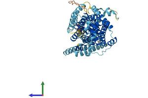 AlphaFold protein structure predicition of Human Recombinant SLC11A1 Protein, UniprotID P49279