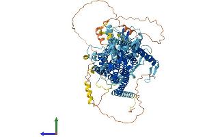 AlphaFold protein structure predicition of Mouse Recombinant Ano3 Protein, UniprotID A2AHL1