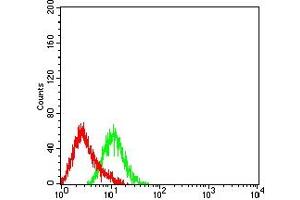 Flow cytometric analysis of HL-60 cells using CD307A mouse mAb (green) and negative control (red).
