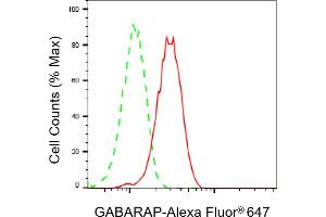 Flow cytometric analysis of GABARAP expression in HepG2 cells using GABARAP antibody (ABIN7798680), 1:2,000). (Recombinant GABARAP anticorps)