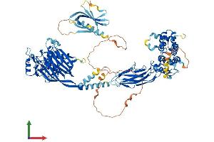 AlphaFold protein structure predicition of Human Recombinant OCRL Protein, UniprotID Q01968