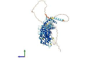 AlphaFold protein structure predicition of Mouse Recombinant Ndc1 Protein, UniprotID Q8VCB1