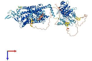 AlphaFold protein structure predicition of Human Recombinant SLC12A4 Protein, UniprotID Q9UP95