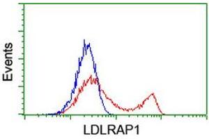 HEK293T cells transfected with either RC206643 overexpress plasmid (Red) or empty vector control plasmid (Blue) were immunostained by anti-LDLRAP1 antibody (ABIN2455230), and then analyzed by flow cytometry. (LDLRAP1 anticorps)