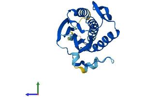 AlphaFold protein structure predicition of Mouse Recombinant Mad2l2 Protein, UniprotID Q9D752
