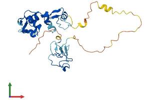 AlphaFold protein structure predicition of Mouse Recombinant Arl14ep Protein, UniprotID Q8BIX3