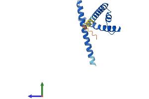AlphaFold protein structure predicition of Human Recombinant CENPS Protein, UniprotID Q8N2Z9
