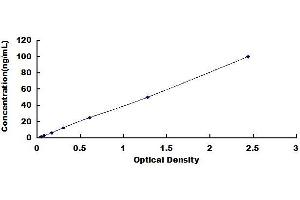 Typical standard curve (ASAH1 Kit ELISA)