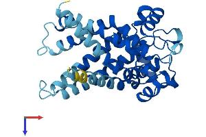 AlphaFold protein structure predicition of Human Recombinant SLC25A5 Protein, UniprotID P05141