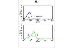 Flow cytometric analysis of 293 cells using PPP3R2 / CBLP Antibody (N-term) Cat. (Calcineurin B anticorps  (N-Term))