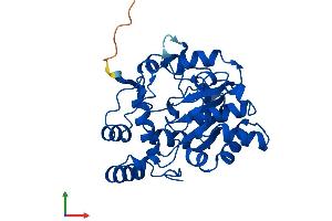 AlphaFold protein structure predicition of Human Recombinant SULT1C2 Protein, UniprotID O00338