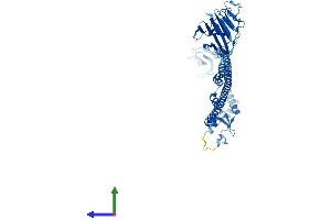 AlphaFold protein structure predicition of Human Recombinant TRIM10 Protein, UniprotID Q9UDY6