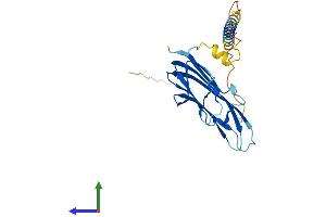 AlphaFold protein structure predicition of Mouse Recombinant Tnfsf8 Protein, UniprotID P32972