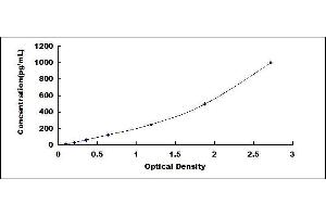 ELISA image for Suprabasin (SBSN) ELISA Kit (ABIN422808)