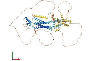 AlphaFold protein structure predicition of Human Recombinant PANX2 Protein, UniprotID Q96RD6