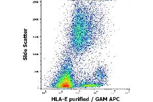 Flow cytometry surface staining pattern of human peripheral whole blood stained using anti-HLA-E (MEM-E/06) purified antibody (concentration in sample 0,56 μg/mL, GAM APC).
