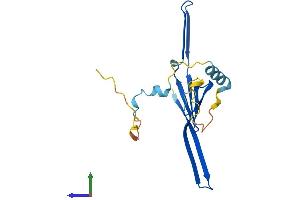 AlphaFold protein structure predicition of Human Recombinant TCAP Protein, UniprotID O15273