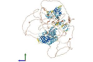 AlphaFold protein structure predicition of Human Recombinant POGZ Protein, UniprotID Q7Z3K3