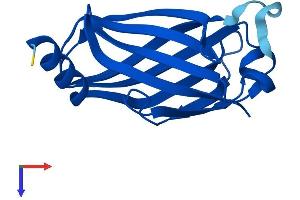 AlphaFold protein structure predicition of Mouse Recombinant Pde6d Protein, UniprotID O55057