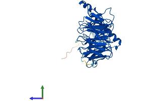 AlphaFold protein structure predicition of Human Recombinant GNB5 Protein, UniprotID O14775