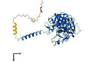 AlphaFold protein structure predicition of Human Recombinant TMPRSS3 Protein, UniprotID P57727