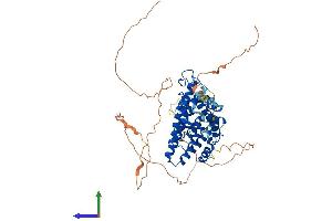 AlphaFold protein structure predicition of Human Recombinant ESR2 Protein, UniprotID Q92731
