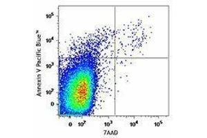 Flow Cytometry (FACS) image for Pacific Blue(TM) Annexin V Apoptosis Detection Kit with 7-AAD (ABIN2669214) (Pacific Blue(TM) Annexin V Apoptosis Detection Kit with 7-AAD)