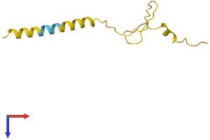AlphaFold protein structure predicition of Human Recombinant LINC00158 Protein, UniprotID P58513