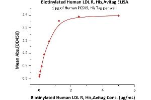 Immobilized Human PCSK9, His Tag (ABIN2181580,ABIN2181579) at 10 μg/mL (100 μL/well) can bind Biotinylated Human LDL R, His,Avitag (ABIN5954921,ABIN6253570) with a linear range of 0. (LDLR Protein (AA 22-788) (His tag,AVI tag,Biotin))