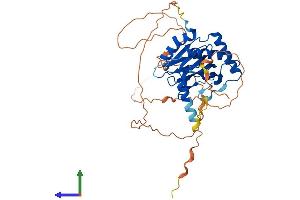 AlphaFold protein structure predicition of Mouse Recombinant Egln2 Protein, UniprotID Q91YE2