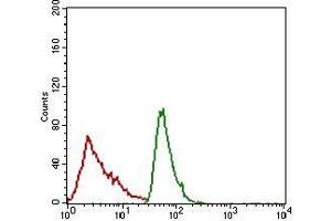 Flow cytometric analysis of JURKAT cells using ALCAM mouse mAb (green) and negative control (red).